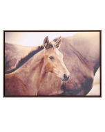 Rustic Meadow Horse Framed Canvas 94x64